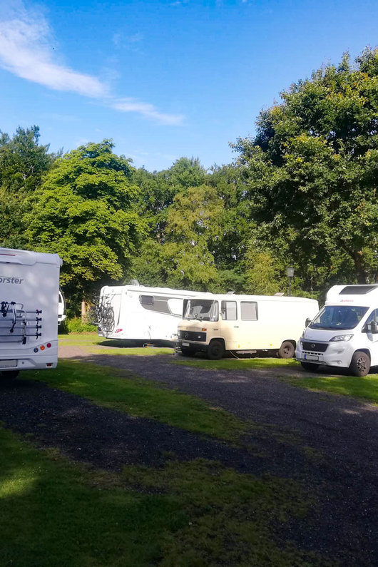 campingplatz vogelzunge platzangebot dauerstellplätze